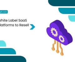 White Label SaaS: Build Your Brand with Scalable Software Solutions