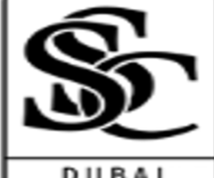 SCS: Luxury Chauffeur & VIP Transfer in Dubai, UAE