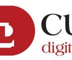 RedCube Digital Media: Premier SEO Services in South Delhi